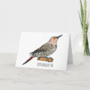 Search for flicker cards Woodpecker