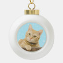 Search for orange tabby cat christmas tree decorations Cute