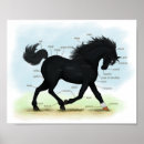 Search for animal anatomy art Equestrian