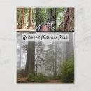 Search for sequoia national park postcards Redwoods