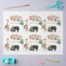 Search for elephant tissue paper Giraffe