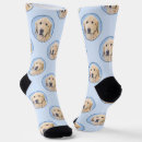 Search for golden retriever socks Cute