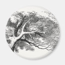 Search for cheshire magnets Illustration