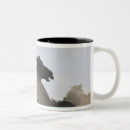 Search for fountain mugs Monument