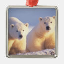 Search for sowing christmas tree decorations 1002