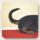 Search for carpet coasters Black