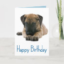 Search for great dane cards Puppy