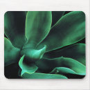 Search for agave electronics Botanical