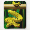 Search for python mouse mats Pet