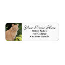 Search for orange cat return address labels Yellow