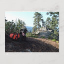 Search for conserve postcards Save the planet