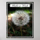 Search for puff art Dandelion