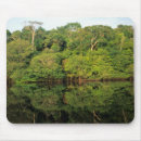 Search for rainforest mouse mats Vegetation