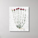 Search for vintage carnation art Italy