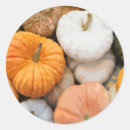 Search for heirloom stickers Pumpkin