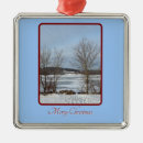 Search for frozen christmas tree decorations Snow