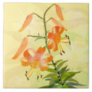 Search for tiger face tiles Ceramic