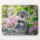 Search for schnauzer mouse mats Flowers