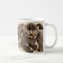 Search for sleeping kitten mugs Cat