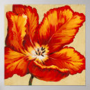 Search for parrot posters Floral