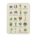 Search for indoor magnets Cute