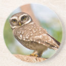 Search for 1 of colours coasters Branch