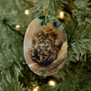 Search for monkey christmas tree decorations Wildlife