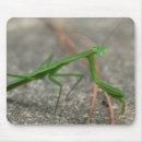 Search for mantis standard mouse mats Macro