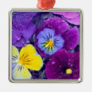 Search for pansy christmas tree decorations Colourful