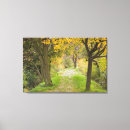 Search for autumn canvas prints Path