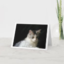 Search for long haired cat cards Fluffy