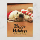 Search for sofa christmas cards Colour image