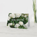 Search for white rose sympathy cards Funeral