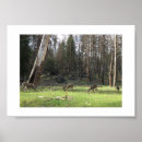 Search for graze photography Animal