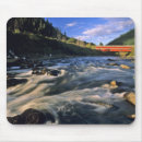 Search for chuck mouse mats Oregon