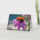 Search for echinacea cards Coneflower