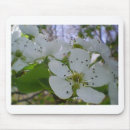 Search for blossoms mouse mats Purple