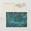 Search for blue peacock postcards Nature