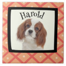 Search for photo frame tiles Pattern
