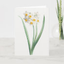 Search for pierre joseph cards Illustration