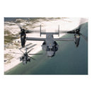 Search for pave art Flight