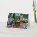 Search for park bench cards Autumn