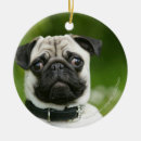Search for mops christmas tree decorations Headshot