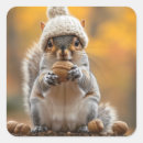 Search for squirrel with nuts stickers Wildlife