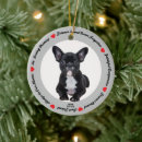 Search for french bulldog pet supplies In loving memory
