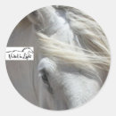 Search for draught horse stickers Equine