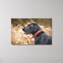 Search for side view posters Dog