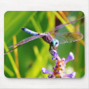 Search for flying dragons mouse mats Purple