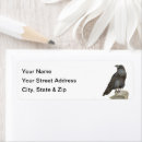 Search for black crows return address labels Wildlife