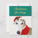 Search for cute dog christmas cards Santa paws